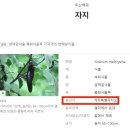 바다피시방 네이버블로그