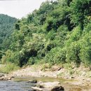 스파고기 이미지