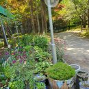 엑스포아파트2단지경로당 이미지