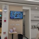 에이스멀티(맥스게임존) | 시흥 장현동 키즈카페추천 티니타운 키즈카페 또가고 또 온 후기