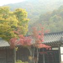 서호노인복지관 이미지