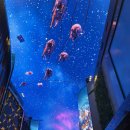 코리아화물 | 2025 코리아 그랜드 뮤직 어워즈 후기 라인업 위치 주차 대중교통