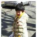 제일경희태권도 이미지