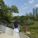 [07/19] 취미 타로(초급) | 벌써 여름의 문턱
