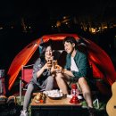 비어캠프 이미지