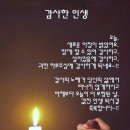 사랑한조각 Daum카페