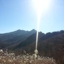 그린소주방 - 경주시 | 그린소주방
