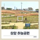 하늘공원 맹꽁이열차 타고 올라간 서울 전망 힐링 명소