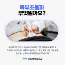 아름내과의원 이미지