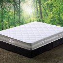 아담슈퍼 이미지