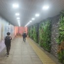 제주서중학교 이미지