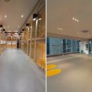 옐레드 애견유치원 애견호텔 하남미사점 이미지