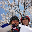 호텔한밤 이미지