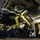 트루그릿 피트니스 이미지