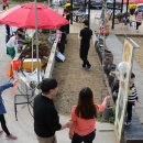 해뜨는농장 이미지