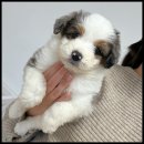 유어라운지 이미지