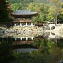 서부초교 이미지