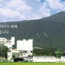 엠에스씨