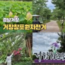 경남자전거 - 부산진구 냉정로 266 | 거창 가볼만한곳 창포원 입장료 주차 수국 연꽃개화 자전거대여 후기