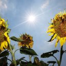 경상농장 이미지