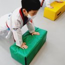삼송백호태권도장 이미지