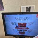 테라스의 아침 | 홍천 브런치카페 강아지 반려견동반가능 [테라스의 아침카페] 내돈내산