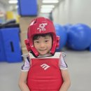 용인대호반태권도 이미지