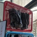 제주레포츠랜드주식회사 | [모과제주]제주 레포츠랜드 카트 가격·운영시간 총정리｜사격후기 + 할인 꿀팁