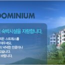 O2콘도&리조트 Daum카페