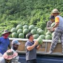 어상천시장 이미지