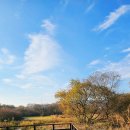 청미천 4 | 용인 가볼만한 곳, 용담생태습지원 산책 후기 : 철새·갈대·부들이 어우러진 아담한 힐링 산책코스