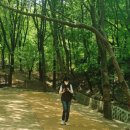 수락산 순환산책로 이미지