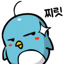 나오스덴트