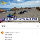 양양 뉴스 댓글 이미지