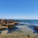 카페달눈 이미지