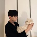 왈왈이 - 원주시 | 왈왈이