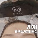 내 강아지 미용실 | 평택 소사벌미용실 사치, 민주실장님 헤드스파로 제대로 휴식