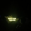 루나폴 네이버블로그