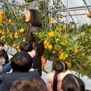 율곡유치원 이미지