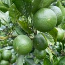 지정농장 이미지