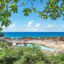 로타커피 이미지