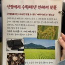 WR(서울특별시 강서구)-[마곡중앙8로]-하-4 | 맛집] 지리산 흑돼지로 인생고깃집을 만나다!!! 정겨운 노포감성의 발산 산청 숯불가든🐷 내돈내산후기💸