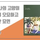 너와나,묘연 이미지