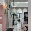 레푸스&아트포레 이미지