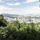 남산 정상 에서 이미지