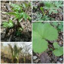 골짜기농장 이미지