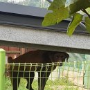 방산농장 이미지