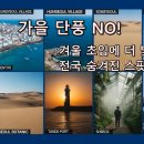 푸른숨9단지A 경로당 | 11월 여행의 반전 매력! 단풍 대신 카메라 들고 가야 할 이색 명소 7