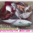 송악 낚시터 이미지