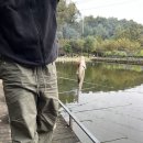 의령-부림-부림-D-1 | 양평 캠핑장 후기, 낚시 체험이 가능한 개군 부림관광농원 캠핑장, 아이와 가기 좋은 캠핑장 추천